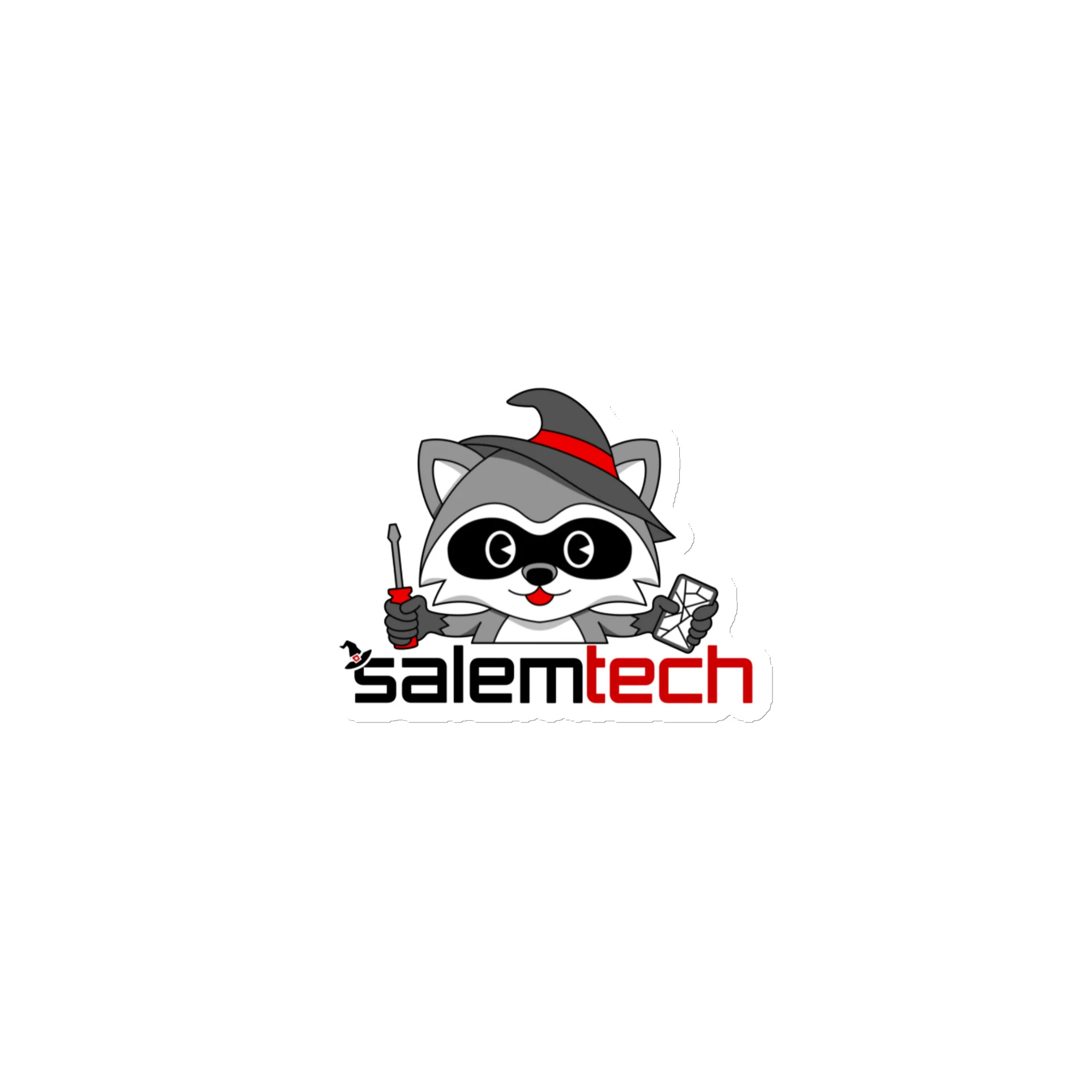 Salem the Raccoon Magnet
