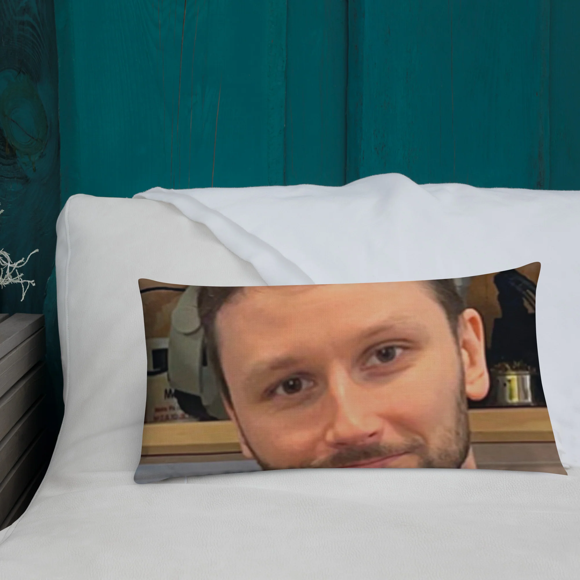 The Greatest Pillow That's Ever Lived - Image 8